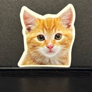 ORANGE CAT STICKER